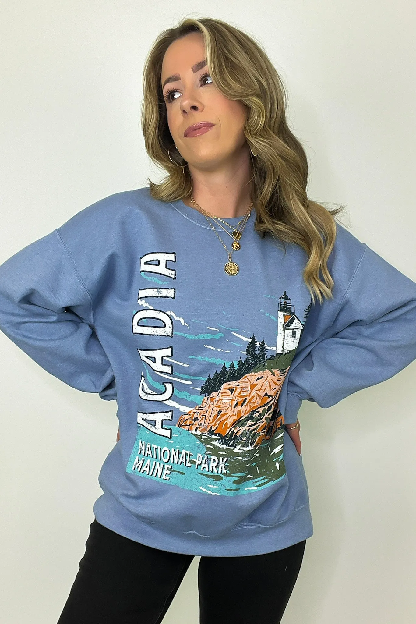 Acadia National Park Graphic Oversized Pullover - FINAL SALE
