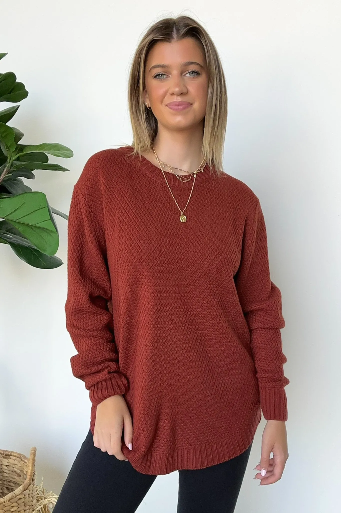 Cozy Comfort Round Neck Sweater