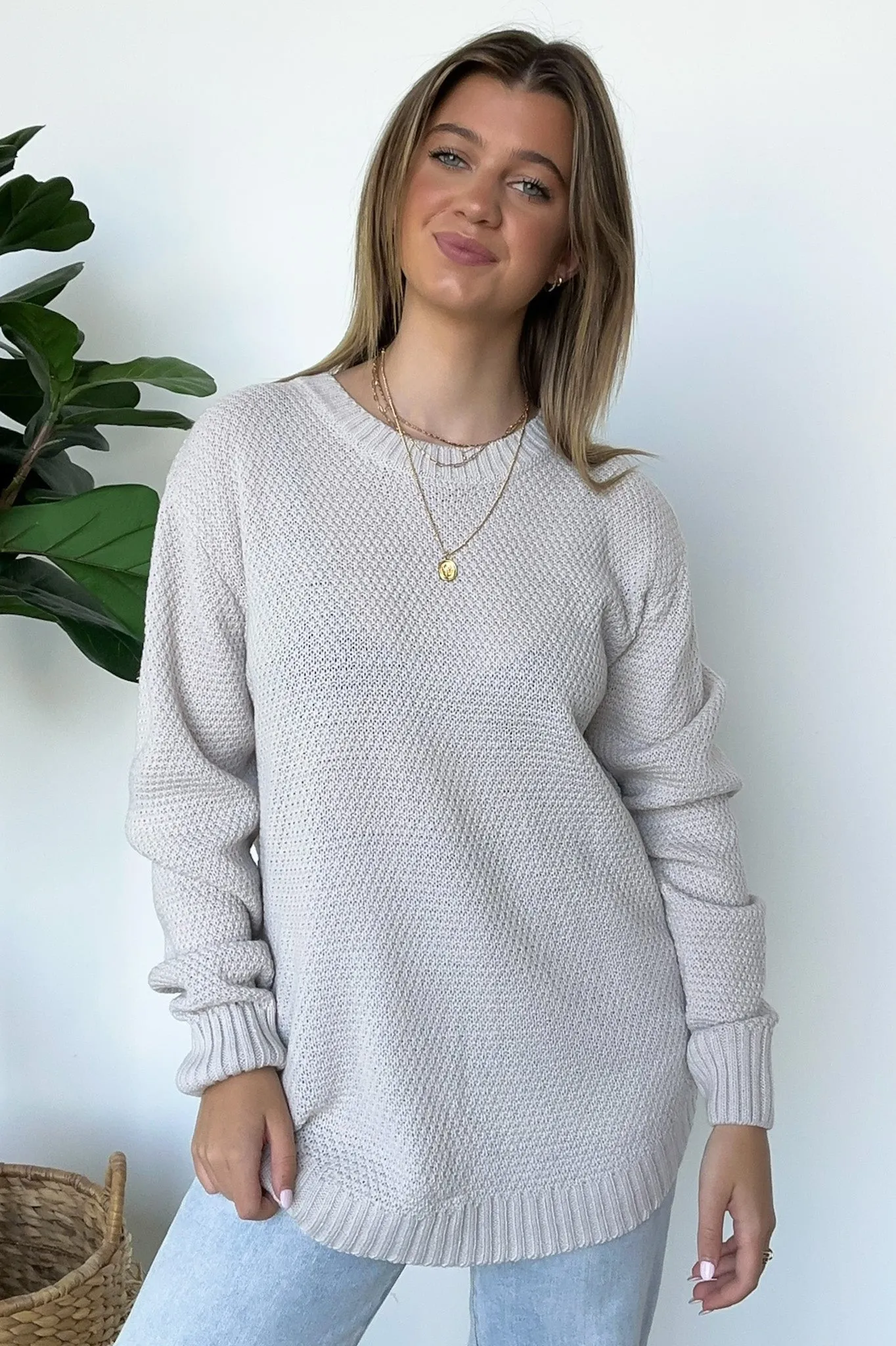 Cozy Comfort Round Neck Sweater