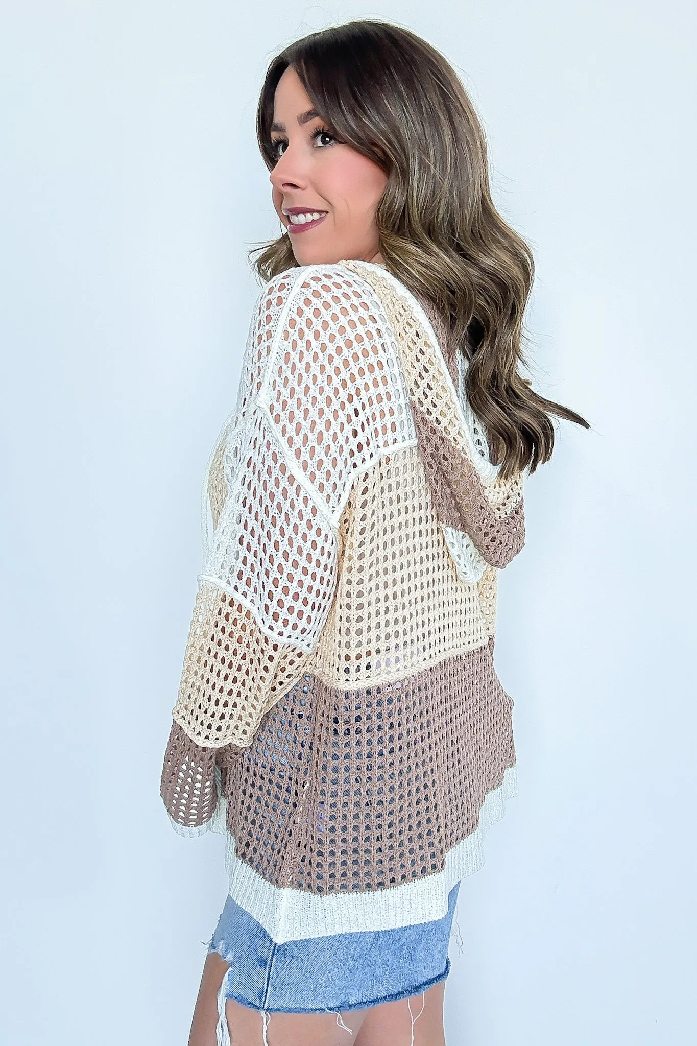 Jenelle Open Knit Color Block Hood Sweater