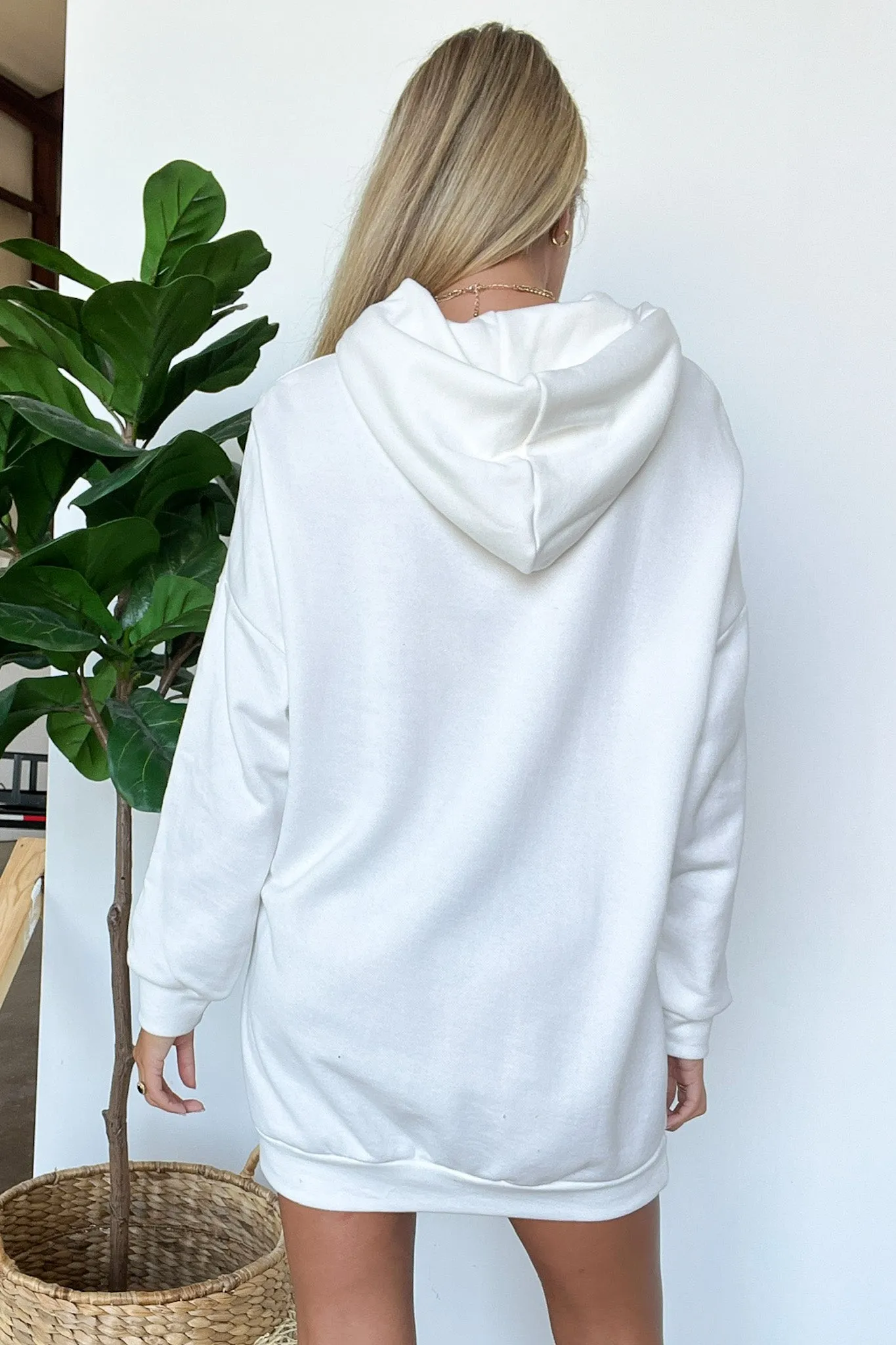 Venice Beach Graphic Hoodie Sweatshirt Dress - FINAL SALE